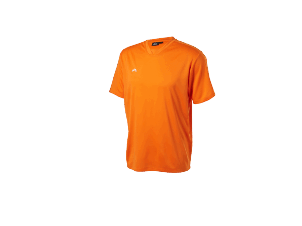 CRIVIT Heren sportshirt (Oranje, XXL)
