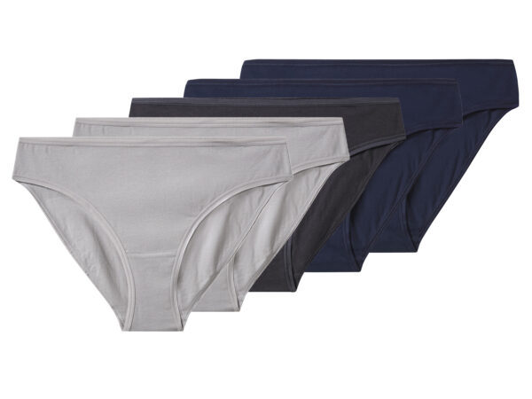 esmara Set van 5 dames onderbroeken - Plus size (marineblauw/donkergrijs/lichtgrijs, XXL (52/54))