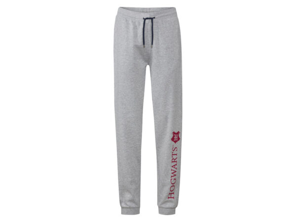 Heren joggingbroek met print op het been (M, Grijs)