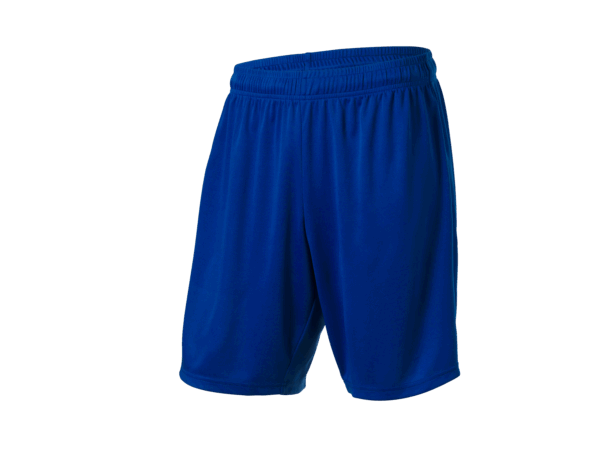 CRIVIT Korte heren sportbroek (Blauw, L)