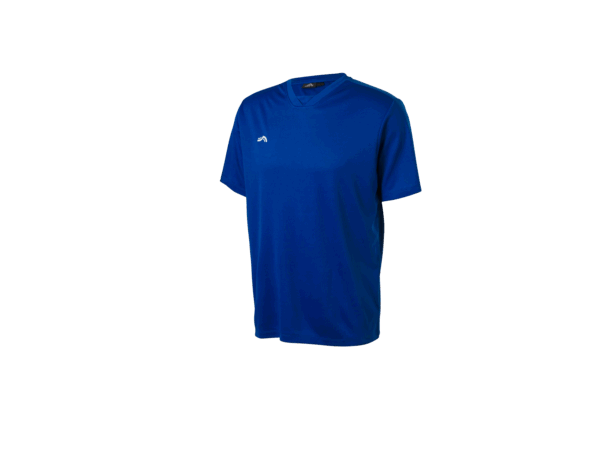 CRIVIT Heren sportshirt (Blauw, XL)
